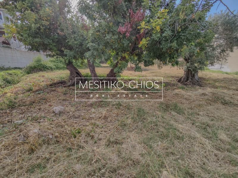 Οικόπεδο στην Πόλη Χίου, Χίος — Φωτογραφία 9 από 25