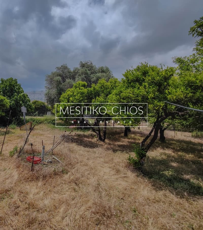 Οικόπεδο στην Πόλη Χίου, Χίος — Φωτογραφία 15 από 26