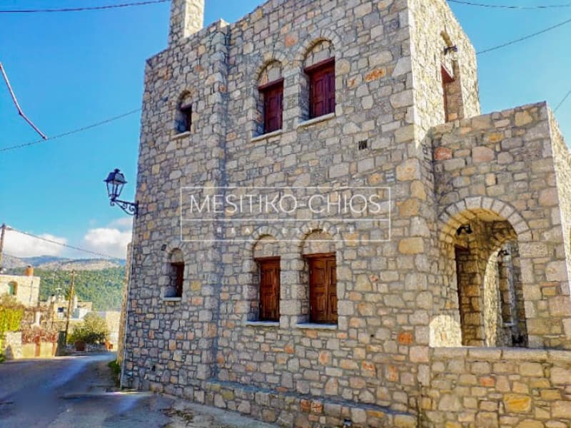 Μονοκατοικία στην Ομηρούπολη, Χίος — Φωτογραφία 2 από 26
