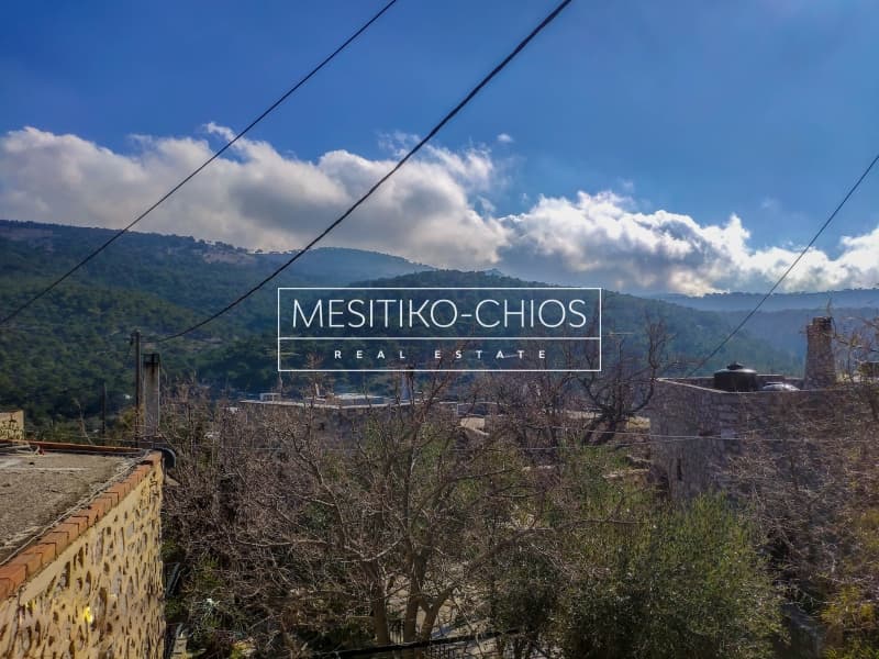 Μονοκατοικία στην Ομηρούπολη, Χίος — Φωτογραφία 25 από 26