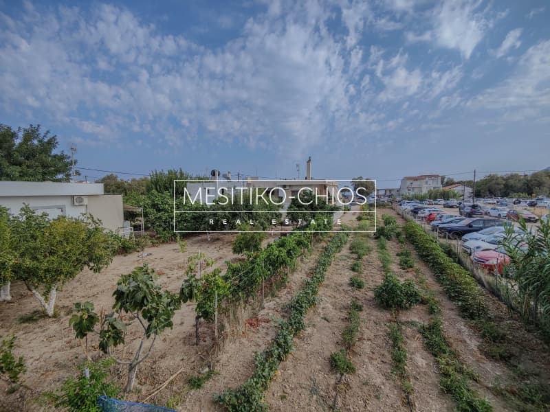 Μονοκατοικία στην Ιωνία, Χίος — Φωτογραφία 25 από 25