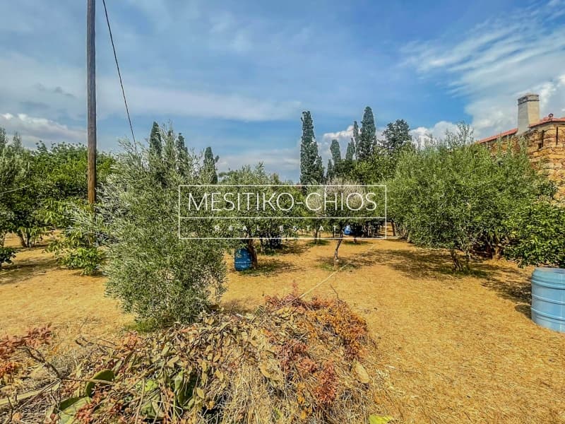 Μονοκατοικία στην Πόλη Χίου, Χίος — Φωτογραφία 20 από 26