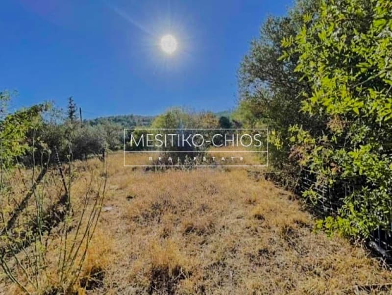 Οικόπεδο στην Πόλη Χίου, Χίος — Φωτογραφία 10 από 24