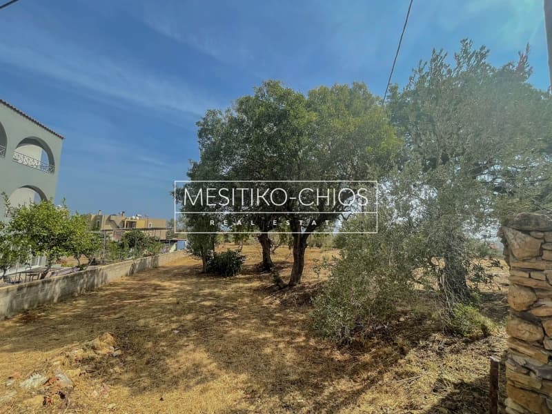 Οικόπεδο στην Πόλη Χίου, Χίος — Φωτογραφία 13 από 24
