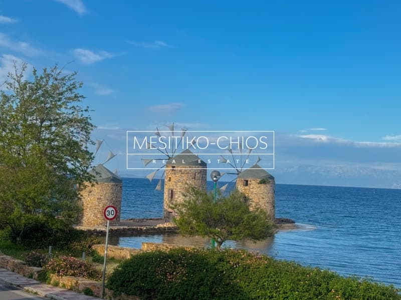 Μονοκατοικία στην Πόλη Χίου, Χίος — Φωτογραφία 14 από 27