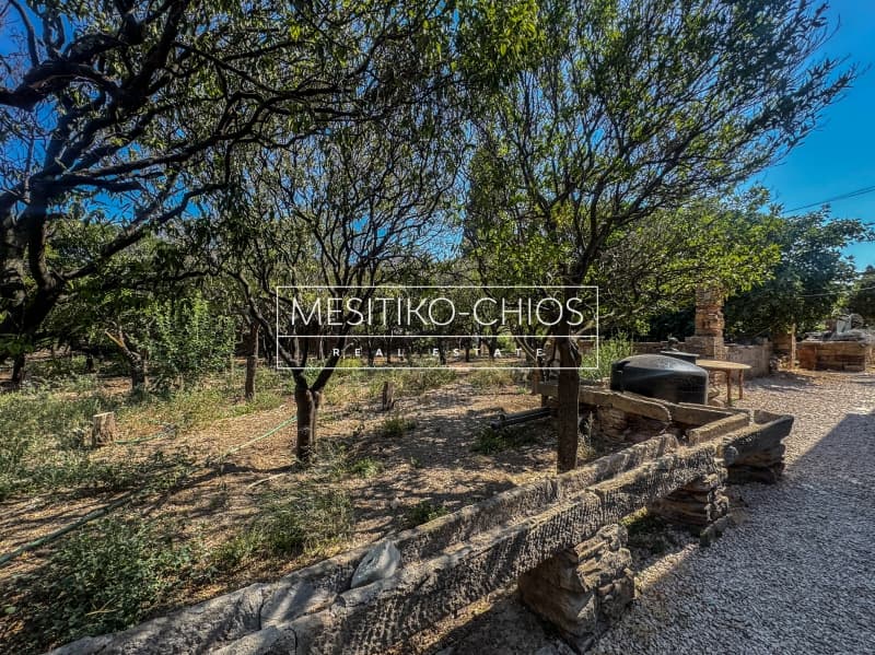 Μονοκατοικία στην Άγιος Μηνάς, Χίος — Φωτογραφία 15 από 25