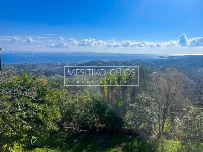 Μονοκατοικία στην Πόλη Χίου, Χίος — Φωτογραφία 15 από 25
