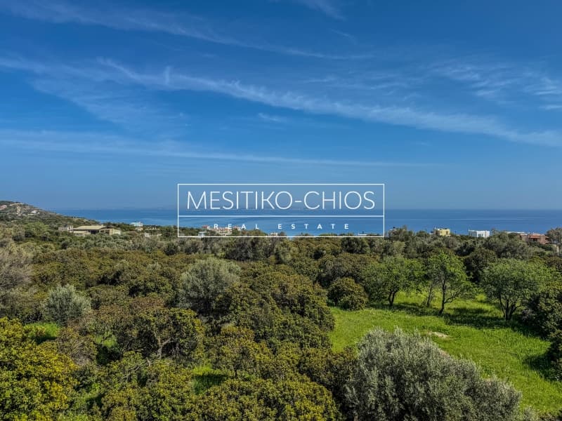 Μονοκατοικία στην Ιωνία, Χίος — Φωτογραφία 28 από 30