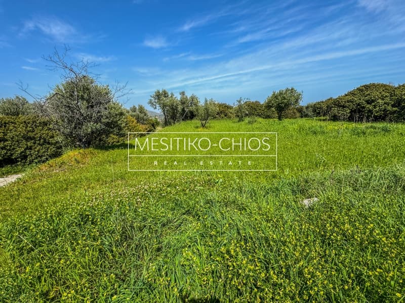 Οικόπεδο στην Άγιος Μηνάς, Χίος — Φωτογραφία 22 από 26