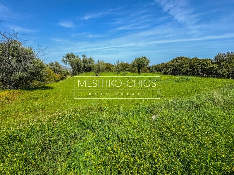 Οικόπεδο στην Άγιος Μηνάς, Χίος — Φωτογραφία 23 από 26