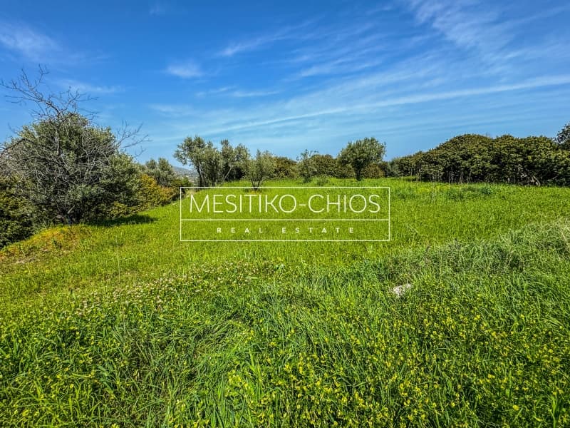 Οικόπεδο στην Άγιος Μηνάς, Χίος — Φωτογραφία 21 από 26