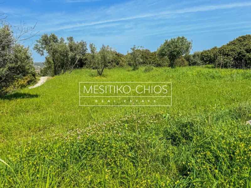 Οικόπεδο στην Άγιος Μηνάς, Χίος — Φωτογραφία 17 από 26