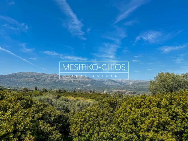 Οικόπεδο στην Άγιος Μηνάς, Χίος — Φωτογραφία 16 από 26