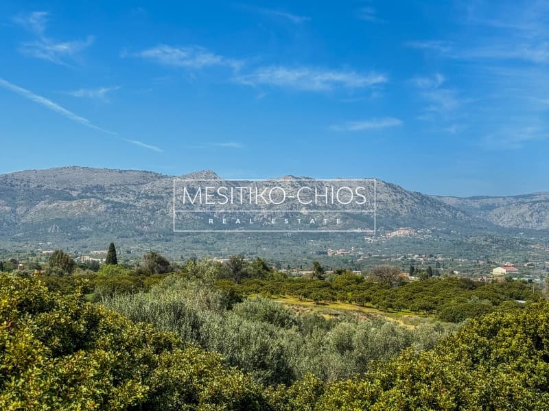 Οικόπεδο στην Άγιος Μηνάς, Χίος — Φωτογραφία 4 από 26
