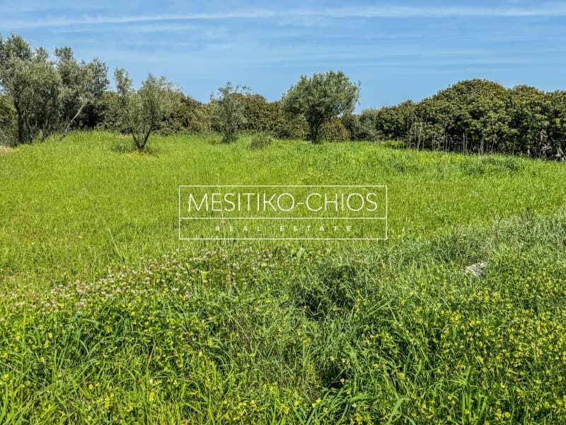 Οικόπεδο στην Άγιος Μηνάς, Χίος — Φωτογραφία 18 από 26