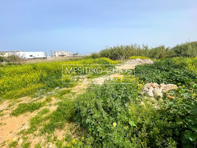 Οικόπεδο στην Άγιος Μηνάς, Χίος — Φωτογραφία 5 από 9