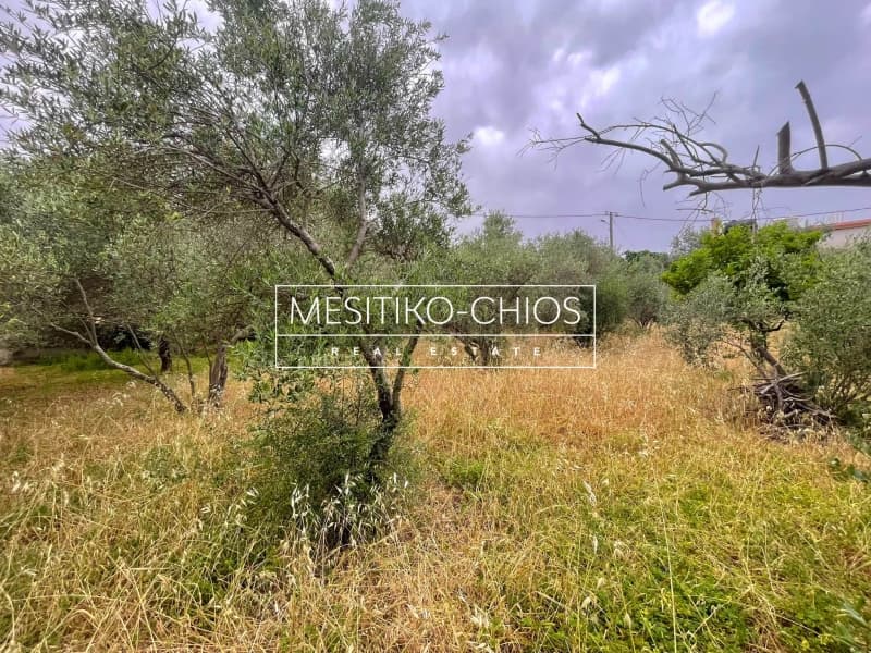 Οικόπεδο στην Πόλη Χίου, Χίος — Φωτογραφία 18 από 25