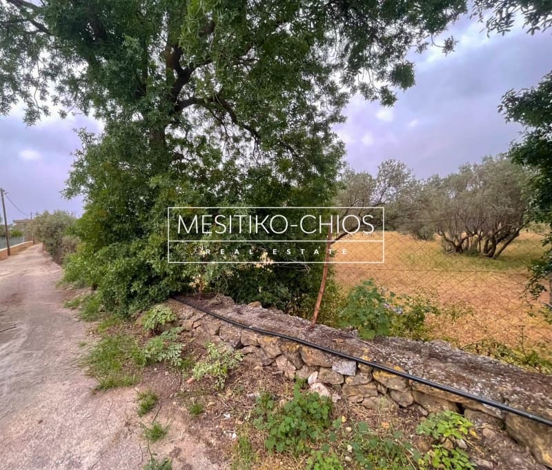 Μονοκατοικία στην Πόλη Χίου, Χίος — Φωτογραφία 22 από 25