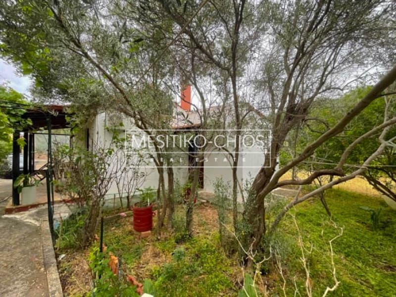 Μονοκατοικία στην Πόλη Χίου, Χίος — Φωτογραφία 14 από 25