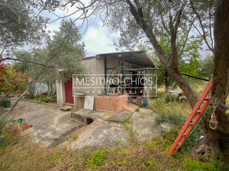 Μονοκατοικία στην Πόλη Χίου, Χίος — Φωτογραφία 13 από 25