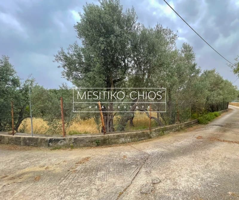 Μονοκατοικία στην Πόλη Χίου, Χίος — Φωτογραφία 24 από 25