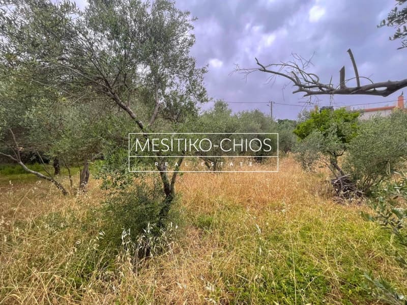 Μονοκατοικία στην Πόλη Χίου, Χίος — Φωτογραφία 9 από 25