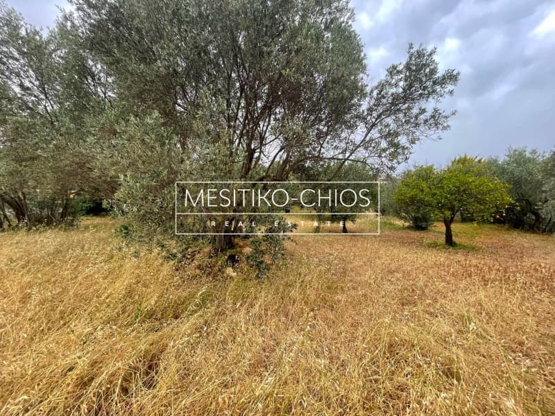 Μονοκατοικία στην Πόλη Χίου, Χίος — Φωτογραφία 6 από 25