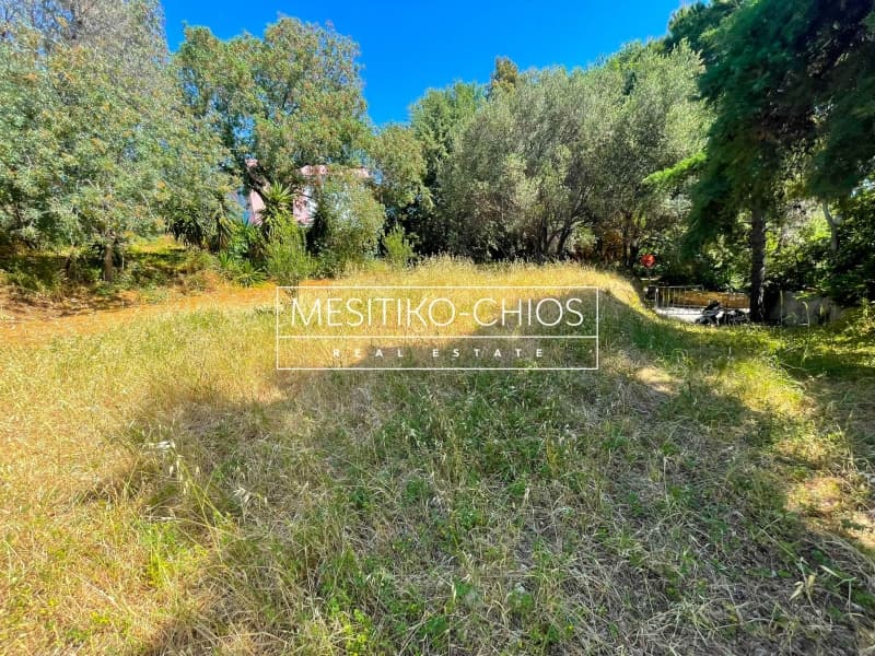 Οικόπεδο στην Πόλη Χίου, Χίος — Φωτογραφία 5 από 15