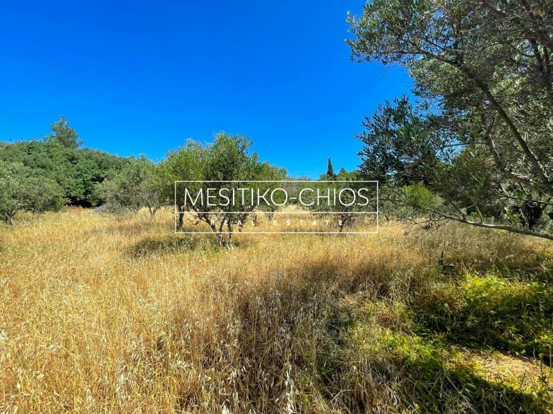 Οικόπεδο στην Πόλη Χίου, Χίος — Φωτογραφία 13 από 15