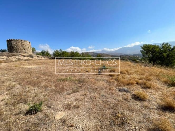 Οικόπεδο στην Αμάνη, Χίος — Φωτογραφία 7 από 25