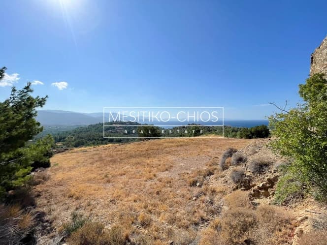 Οικόπεδο στην Αμάνη, Χίος — Φωτογραφία 16 από 25