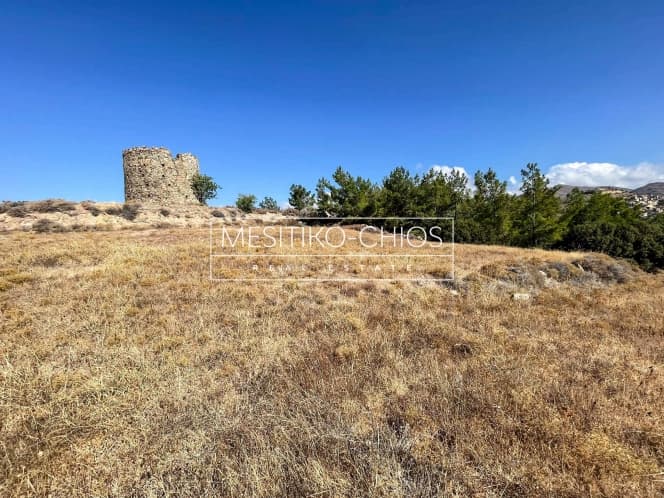Οικόπεδο στην Αμάνη, Χίος — Φωτογραφία 6 από 25