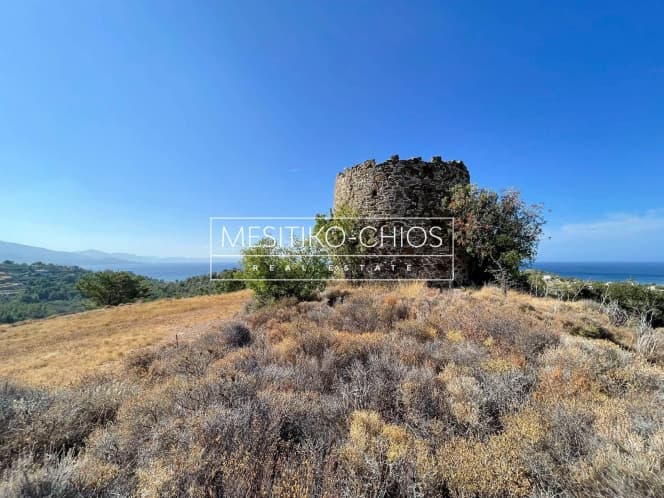 Οικόπεδο στην Αμάνη, Χίος — Φωτογραφία 5 από 25