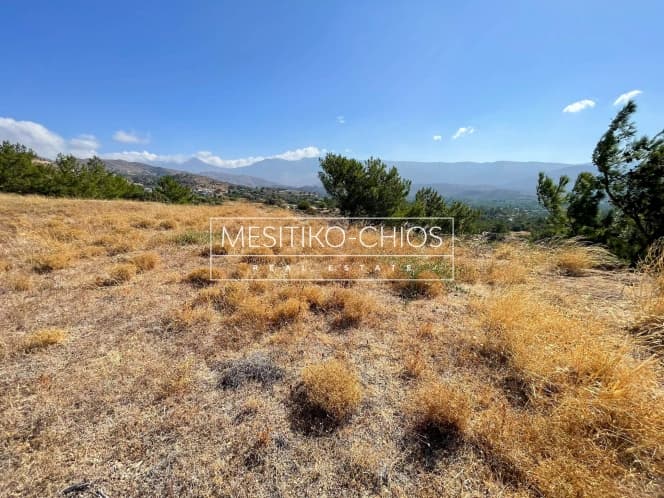 Οικόπεδο στην Αμάνη, Χίος — Φωτογραφία 8 από 25