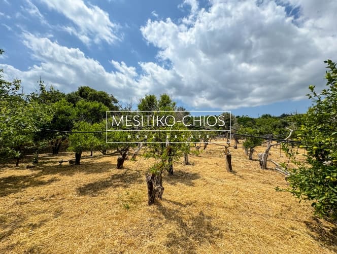 Οικόπεδο στην Πόλη Χίου, Χίος — Φωτογραφία 21 από 25