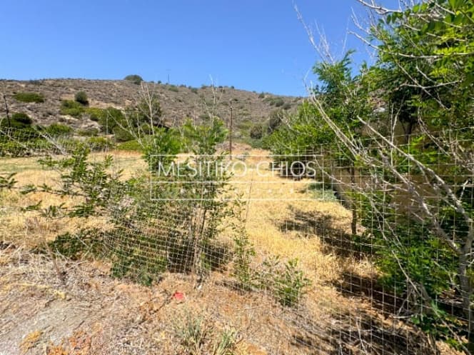 Οικόπεδο στην Αμάνη, Χίος — Φωτογραφία 13 από 25