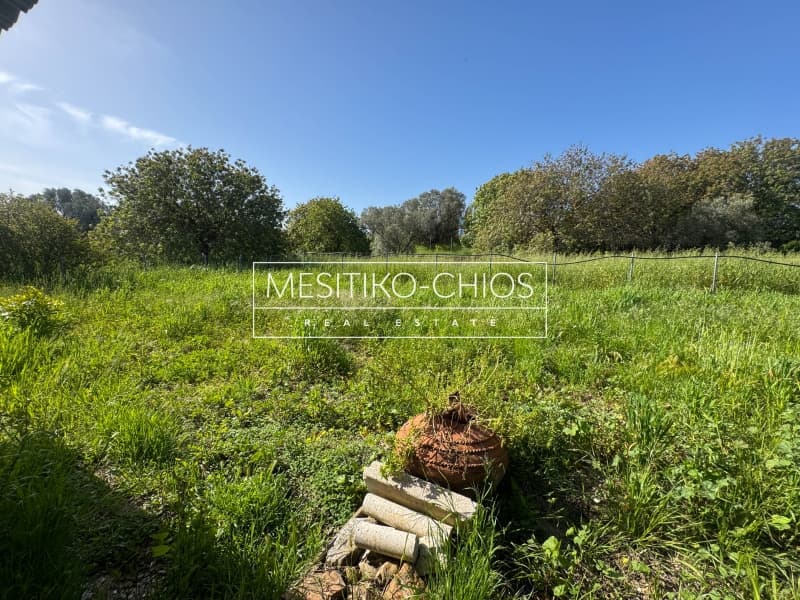 House in Agios Minas, Chios — Photo 20 of 27