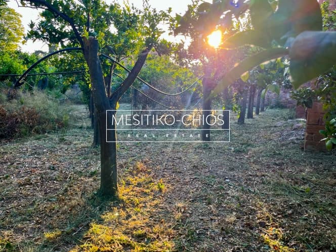Οικόπεδο στην Άγιος Μηνάς, Χίος — Φωτογραφία 11 από 25