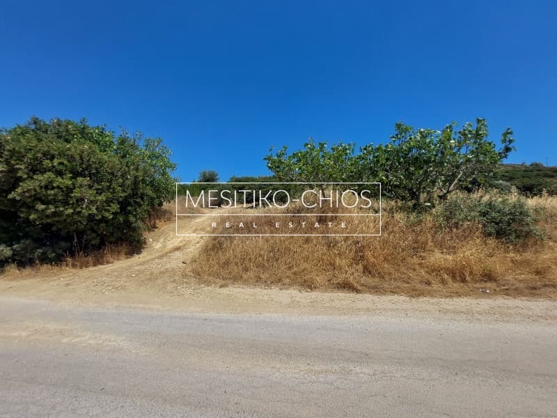 Οικόπεδο στην Ιωνία, Χίος — Φωτογραφία 17 από 25