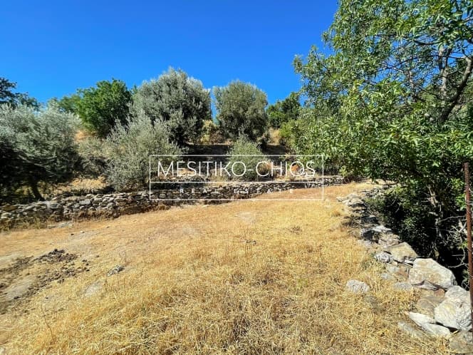 Οικόπεδο στην Πόλη Χίου, Χίος — Φωτογραφία 4 από 14