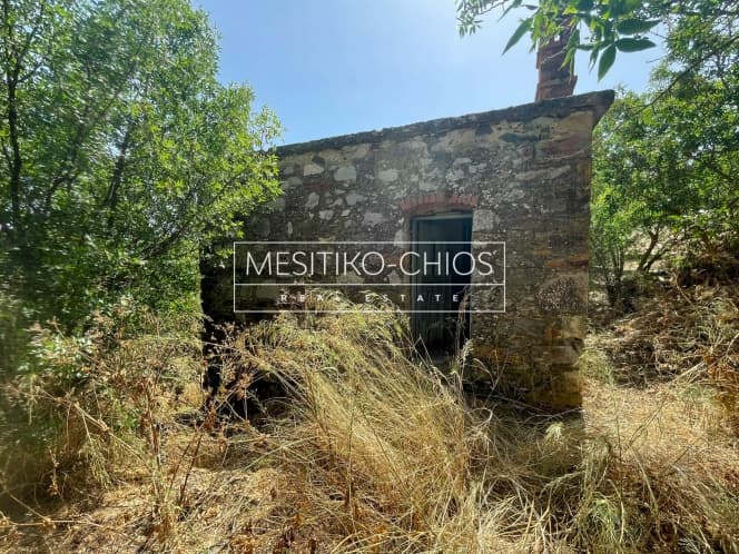 House in Chios town, Chios — Photo 10 of 24