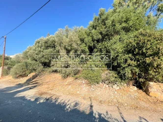 Οικόπεδο στην Πόλη Χίου, Χίος — Φωτογραφία 4 από 15