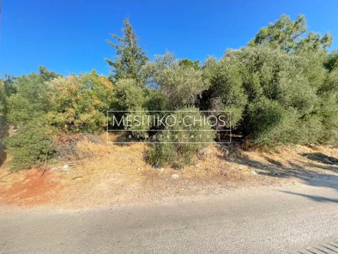 Οικόπεδο στην Πόλη Χίου, Χίος — Φωτογραφία 2 από 15