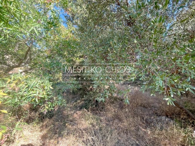 Οικόπεδο στην Πόλη Χίου, Χίος — Φωτογραφία 5 από 15