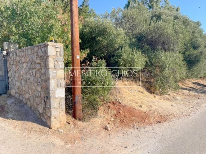 Οικόπεδο στην Πόλη Χίου, Χίος — Φωτογραφία 8 από 15