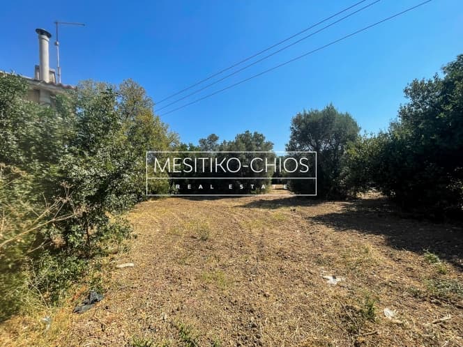 Οικόπεδο στην Άγιος Μηνάς, Χίος — Φωτογραφία 7 από 26