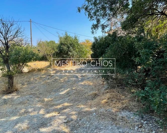 Οικόπεδο στην Άγιος Μηνάς, Χίος — Φωτογραφία 18 από 27