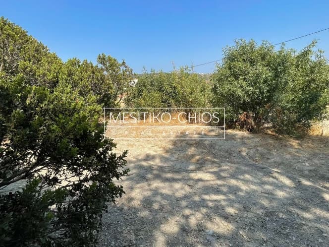 Οικόπεδο στην Άγιος Μηνάς, Χίος — Φωτογραφία 15 από 27