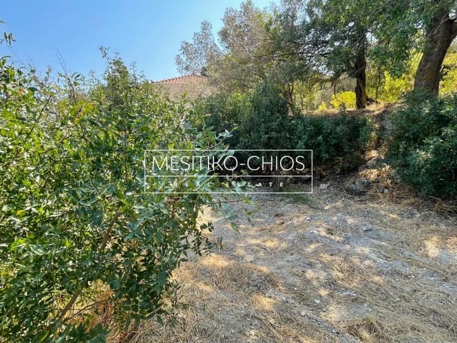 Οικόπεδο στην Άγιος Μηνάς, Χίος — Φωτογραφία 21 από 27