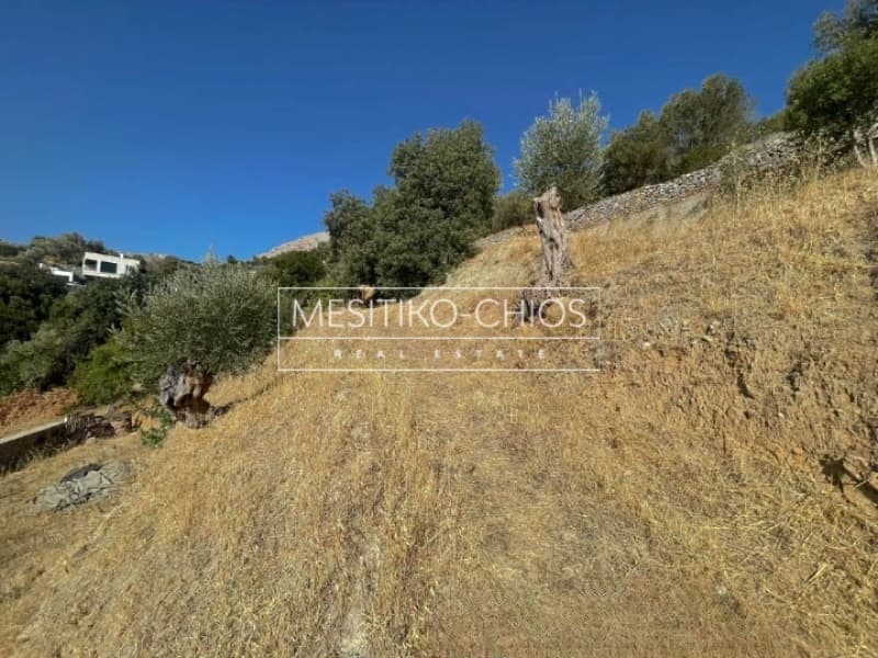 Οικόπεδο στην Πόλη Χίου, Χίος — Φωτογραφία 16 από 25